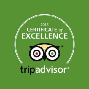 tripadvisor2016